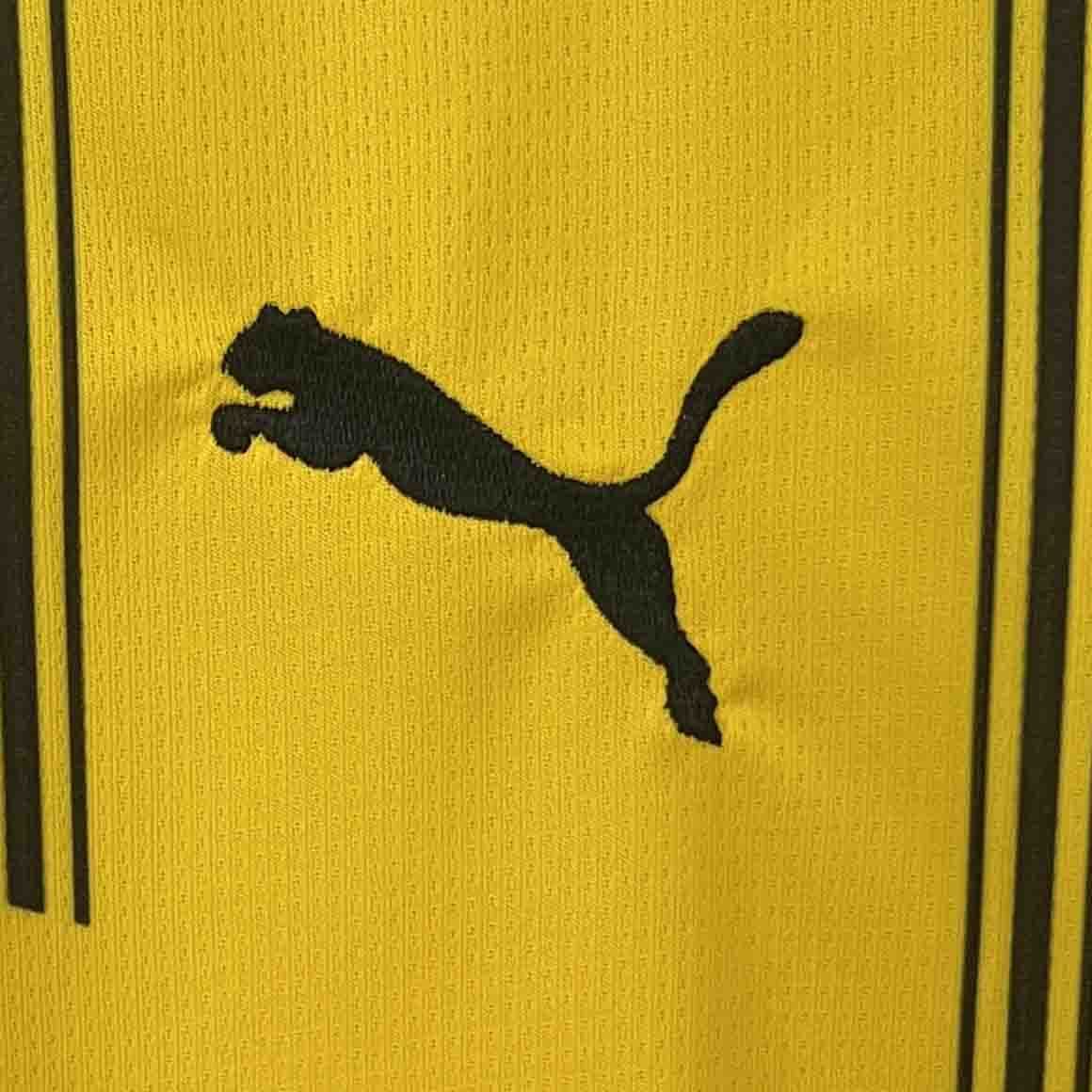 Maillot Domicile Borussia Dortmund 2024-2025