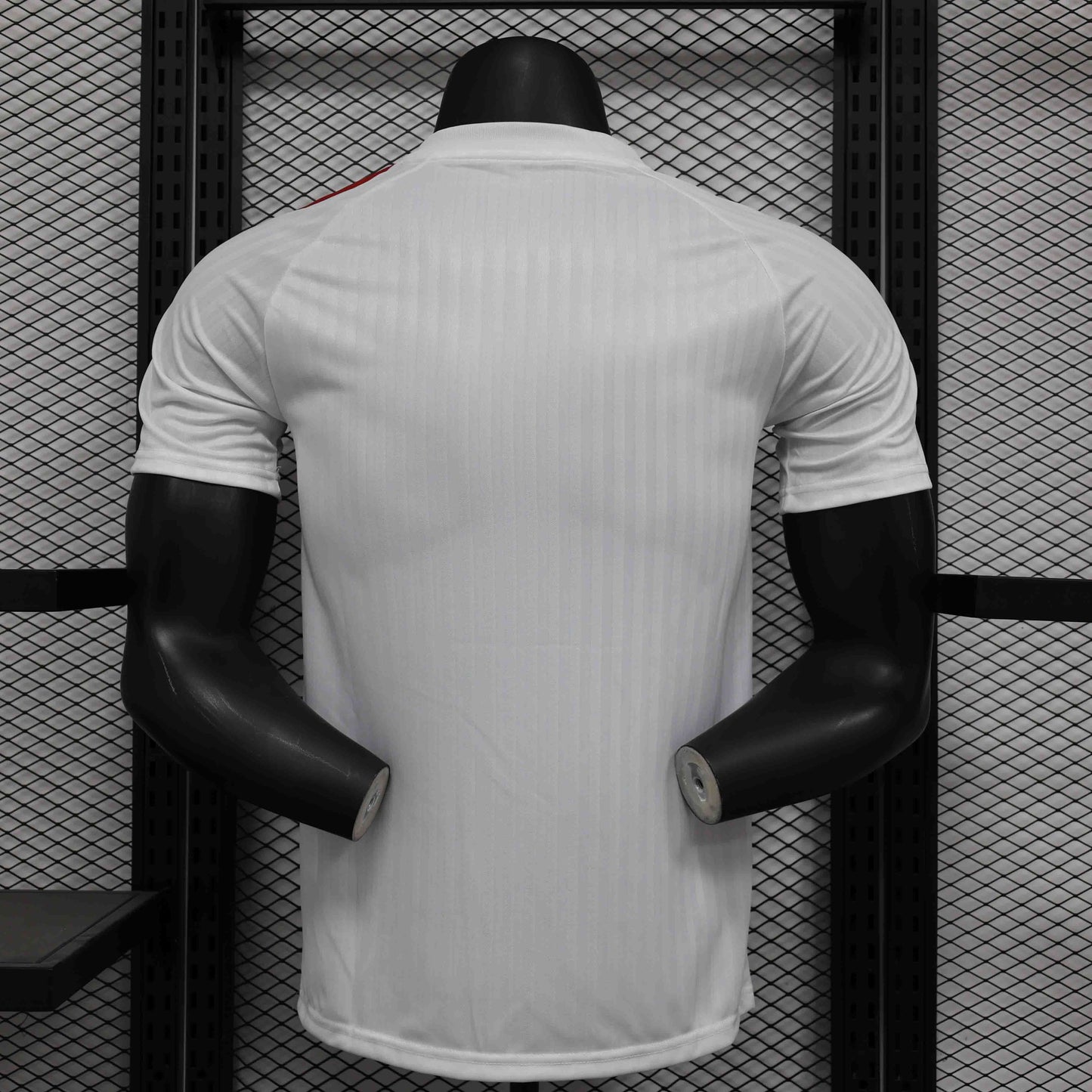 Maillot Player Manchester United 2024-2025