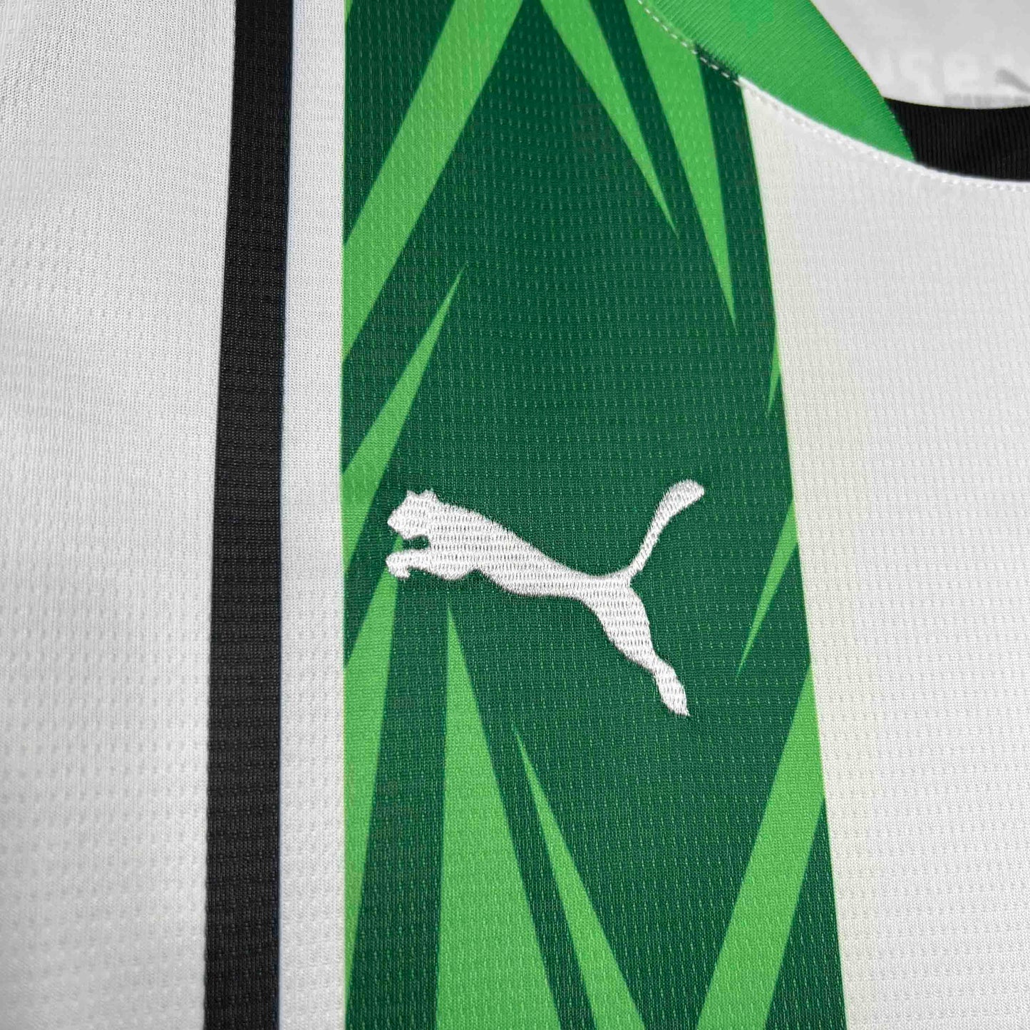 Maillot Domicile Borussia Monchengladbach 2024-2025
