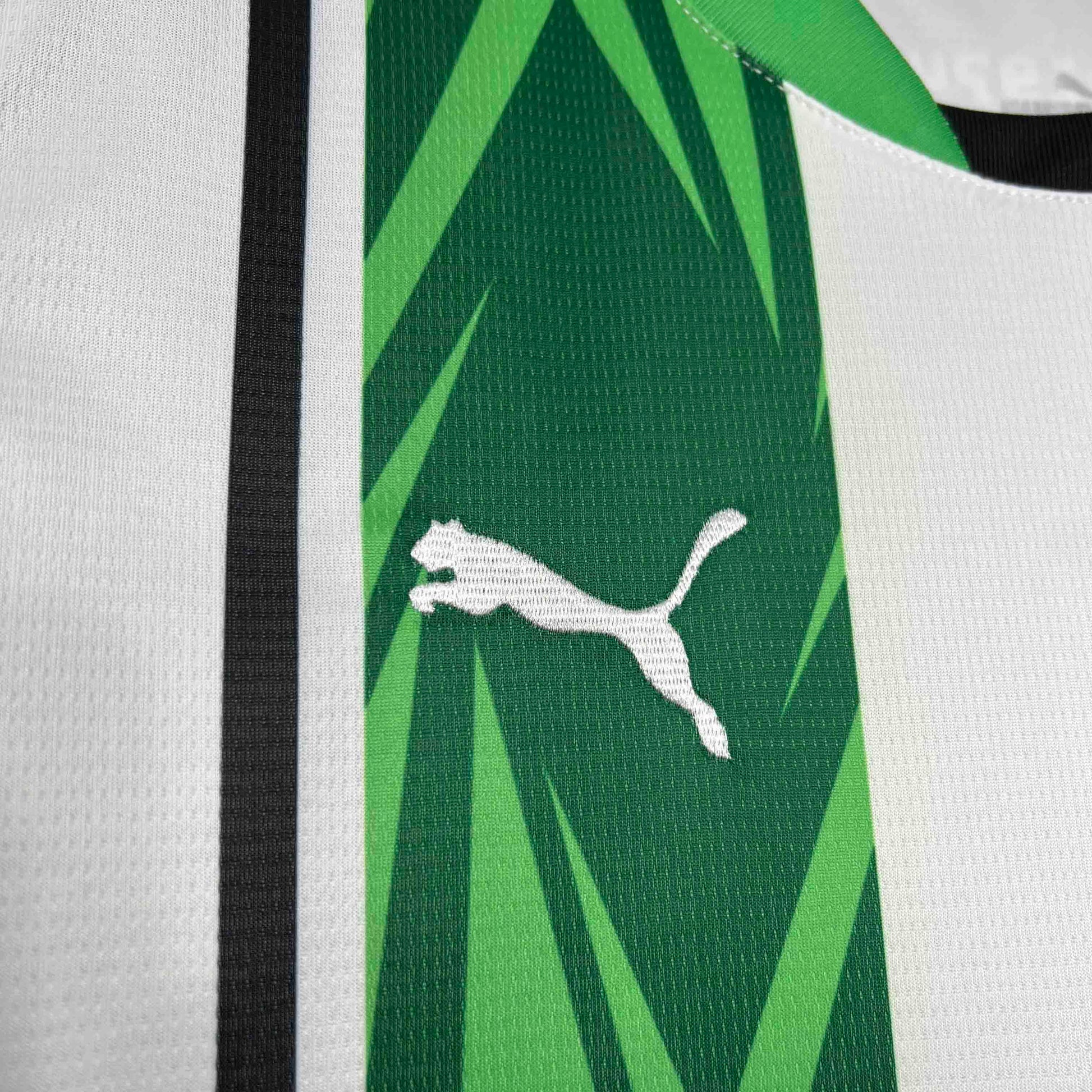 Maillot Domicile Borussia Monchengladbach 2024-2025