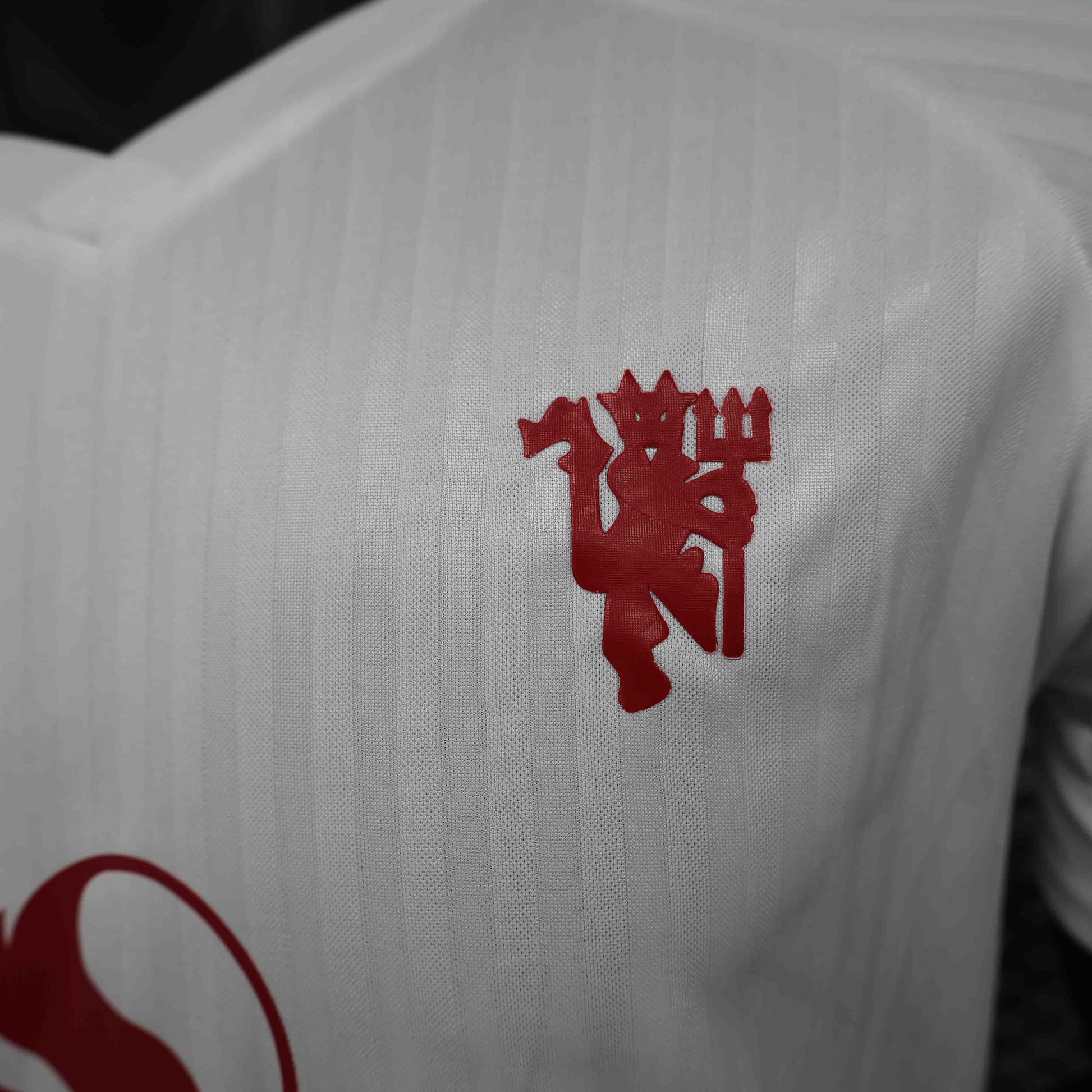 Maillot Player Manchester United 2024-2025